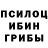 Галлюциногенные грибы мицелий jay anand