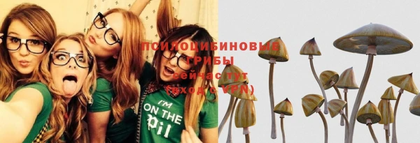 apvp Верхний Тагил