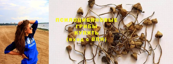 стафф Бугульма